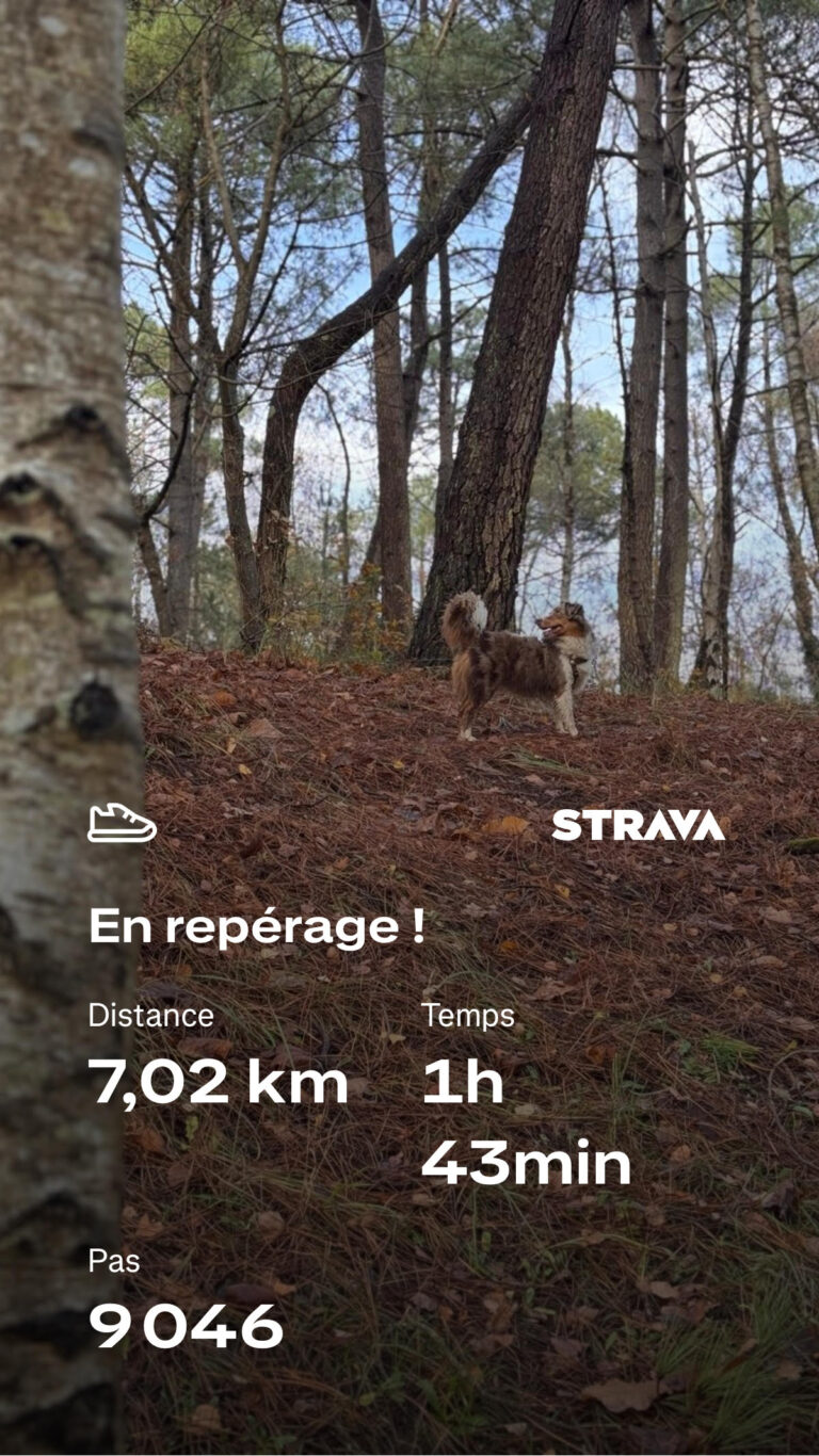 strava 2