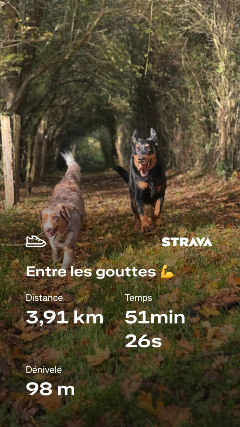strava 4
